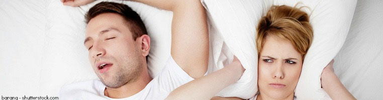 Bild zu Nächtliches Knattern, Pfeifen und Rasseln